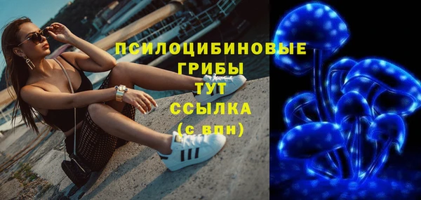 мескалин Богородицк