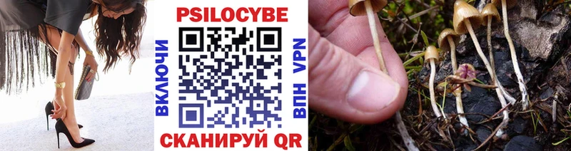 Галлюциногенные грибы Psilocybe  Нариманов 